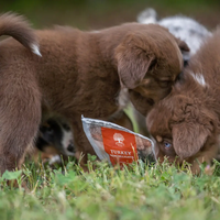 ESSENTIAL TURKEY MINI DELIGHTS - деликатесни малки лакомства за кучета с пуешко месо, 100г