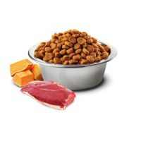 N&D Pumpkin Duck & Cantaloupe Cat Adult – храна за котки над 1 година с патешко, тиква и пъпеш, 300 g / 1.5 kg / 5 kg