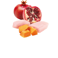 N&D Pumpkin Chicken & Pomegranate Starter Puppy – стартер храна за кученца с пиле и нар, 0.800 kg / 2.5 kg