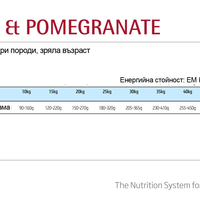 N&D Pumpkin Adult Maxi с пилешко, тиква и нар