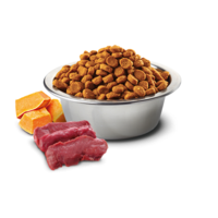 N&D Pumpkin Venison & Apple Cat Adult – храна за котки над 1 година с еленско месо, тиква и ябълки, 300 g / 1.5 kg / 5 kg