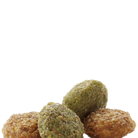 Versele Laga Hamster & Gerbil Complete храна за хамстери и джербили 500 гр