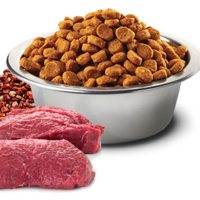 N&D Quinoa Skin & Coat Venison Adult Medium & Maxi – храна за кучета за кожа и козина, с вкус еленско, за средни и големи породи, 2.5 kg / 7 kg