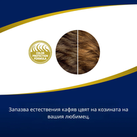 N&D Brown Dog Lamb Adult  Mini – Храна за кучета с кафява козина от мини породи ,с агнешко, спирулина и морков 2кг и 5кг