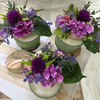 Зелена с ЛИЛАВА хортензия