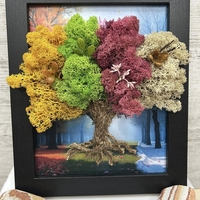 БЪЛГАРИЯ - четирите сезона