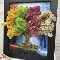 БЪЛГАРИЯ - четирите сезона