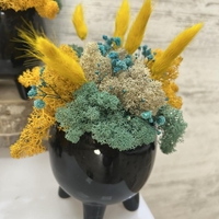 ЧЕРНА КАШПА с мъх