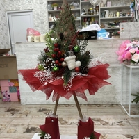 Закачлива КОЛЕДНА елхичка. 1