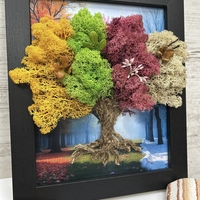 БЪЛГАРИЯ - четирите сезона