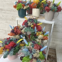 ЧАША със скандинавски мъх