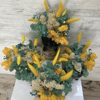 ЧЕРНА КАШПА с мъх