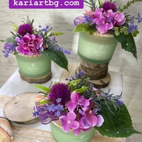 Зелена с ЛИЛАВА хортензия