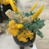 ЧЕРНА КАШПА с мъх