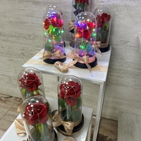 СВЕТЕЩА ВЕЧНА РОЗА