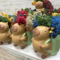 Кашпа КАПИБАР