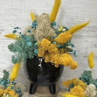 ЧЕРНА КАШПА с мъх