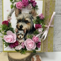 Картички с ЖИВОТНИ