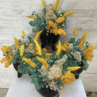 ЧЕРНА КАШПА с мъх