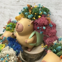 Кашпа КАПИБАР