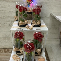 СВЕТЕЩА ВЕЧНА РОЗА