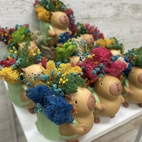 Кашпа КАПИБАР