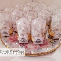 Ангелска закрила