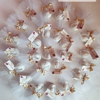 Елегантен лебед