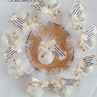 Елегантен лебед