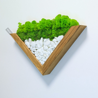 Стенно пано със скандинавски мъх