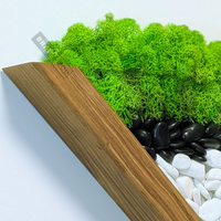 Стенно пано със скандинавски мъх