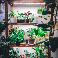 Универсална лед лампа за otglegdane-na-растения 25W