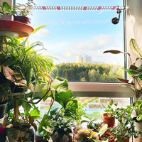 Универсална лед лампа за otglegdane-na-растения 25W