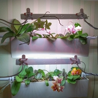 Универсална лед лампа за otglegdane-na-растения 25W