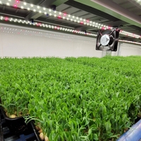 Универсална лед лампа за otglegdane-na-растения 25W