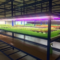 Универсална лед лампа за otglegdane-na-растения 25W