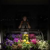 Универсална LED лампа за растения 25W