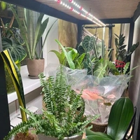 Универсална лед лампа за otglegdane-na-растения 25W