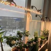 ВАКУУМ СТОЙКА ЗА СТЪКЛО