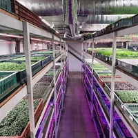 Универсална лед лампа за otglegdane-na-растения 25W