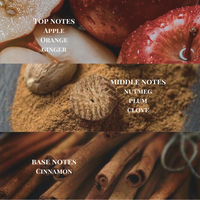 NO. 4 Aurum | Reed Diffuser