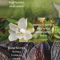 NO. 2 Zephyr | Reed Diffuser