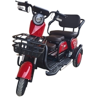 Електрическа триколка SXLONG SL 01 – 800W, 60V 20Ah, за трима души, пробег до 60 км