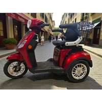 Електрическа триколка XL-1D 800W