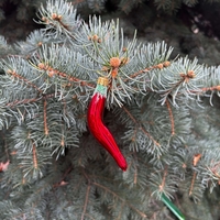 Стъклена чушка