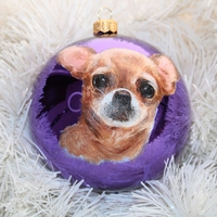 Персонализирана Коледна играчка с домашен любимец