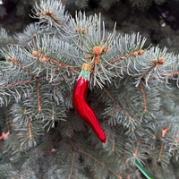 Стъклена чушка