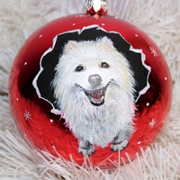 Персонализирана Коледна играчка с домашен любимец