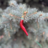 Стъклена чушка