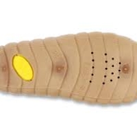 BAREFOOT пантофи Befado 465p223